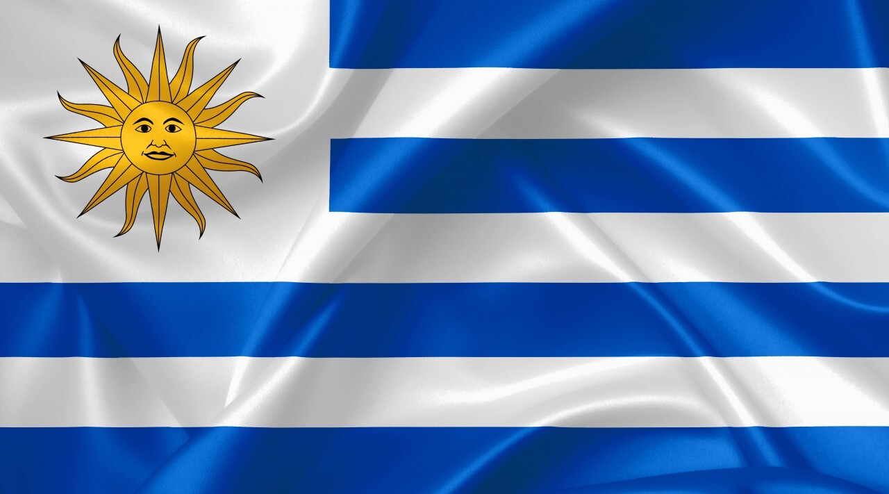 Uruguay Flag Photo 756 Motosha Free Stock Photos