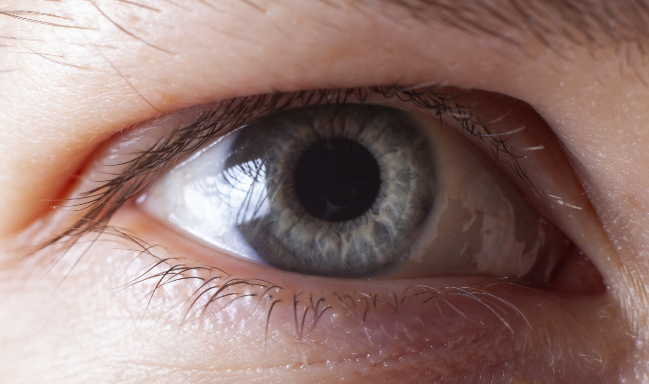 Human blue eye close-up - Photo #5831 - motosha | Free Stock Photos