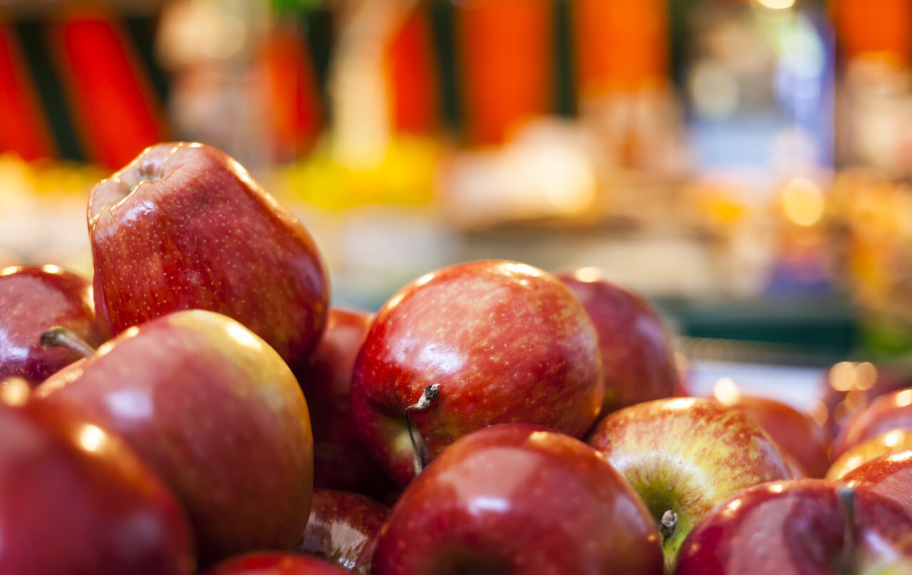 Red Apples In The Market Photo 3916 Motosha Free Stock Photos   11595885974rl5wgfc1owfh1uqgxwwvq0tgrmc6rjfrtjrol9uwm2bbips5qzlmpegyqxgzxcunlkucyel4ft8v4ulevohlfxmsxro2spbbggzd 