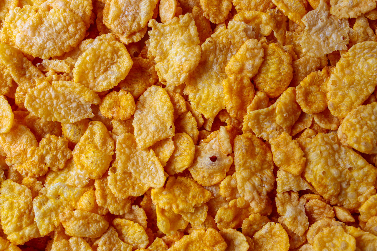 Cornflakes Background - Photo #6857 - motosha | Free Stock Photos