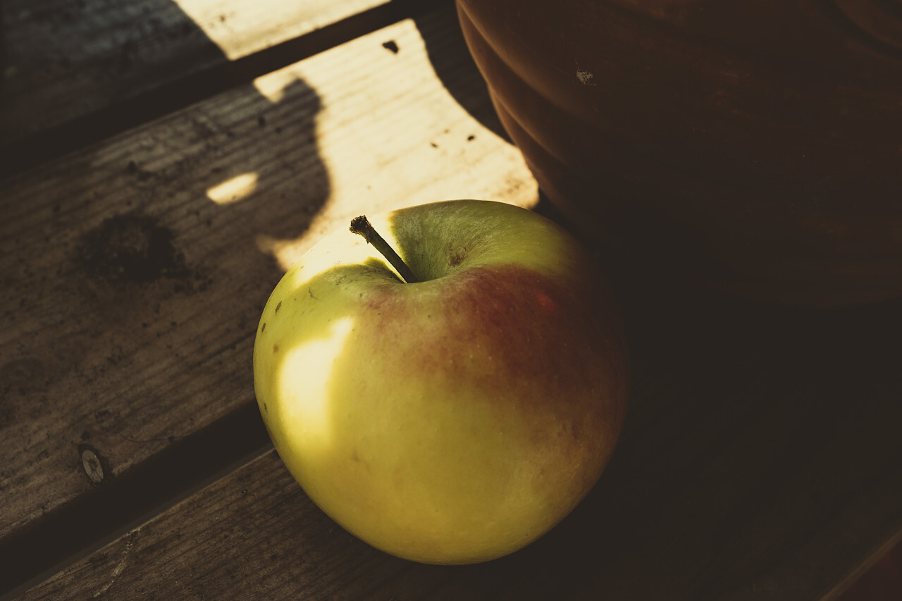 apple on a garden table