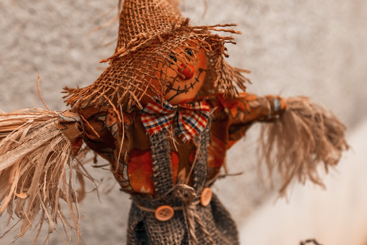 scarecrow - autumn decoration
