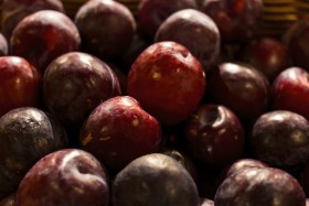 Stock Image: Close-up of fresh ripe plums, Harvest Concept