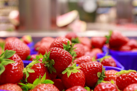 Stock Image: Strawberries displayed in square light blue plastic baskets