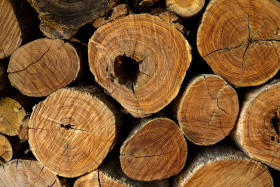 Stock Image: Tree trunk background