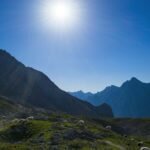 alps sheep alps sheep