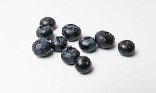 blueberries white background blueberries white background