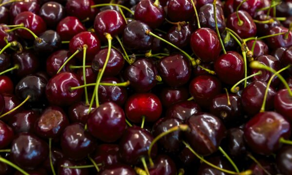 cherries from the market cherries from the market 02