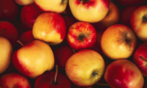 fresh apples from the market 02 fresh apples from the market 02