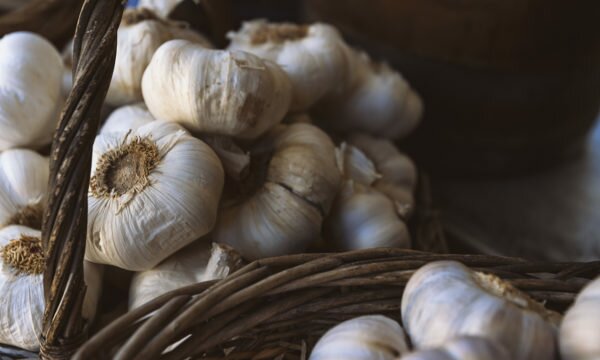 garlic cloves in baskets garlic cloves in baskets