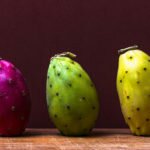 prickly pears prickly pears