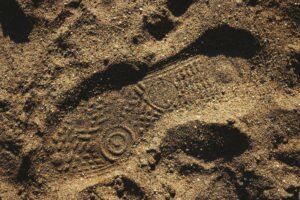 shoe print