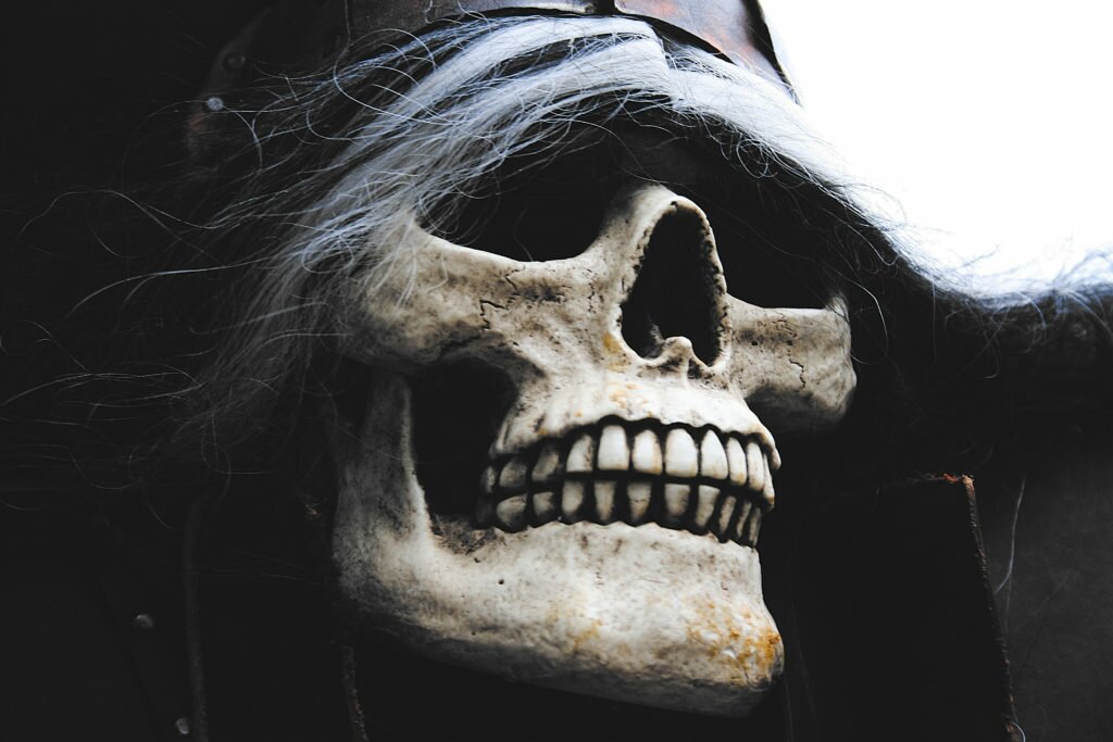 skeleton warriors