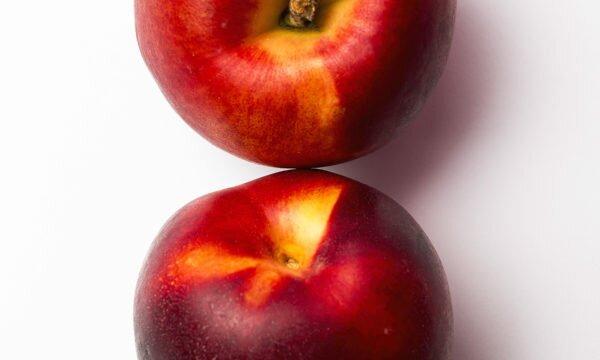 two nectarines white background two nectarines white background
